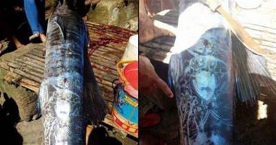 菲律賓漁民捕到一隻「全身佈滿圖騰的大魚」引網熱議，仔細看上面的圖案卻感到不太尋常！