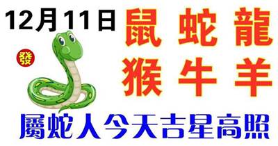 12月11日生肖運勢_鼠、蛇、龍大吉