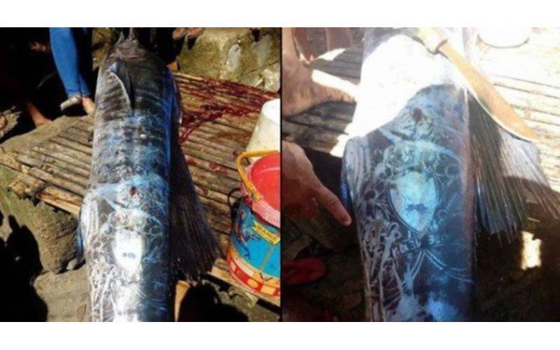 菲律賓漁民捕到一隻「全身佈滿圖騰的大魚」引網熱議，仔細看上面的圖案卻感到不太尋常！